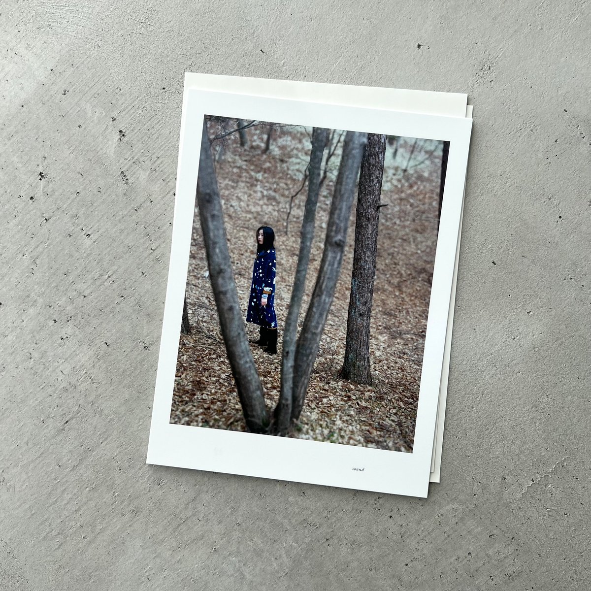 紋黄蝶 ミナ ペルホネン 2014-15 秋冬 | suiran