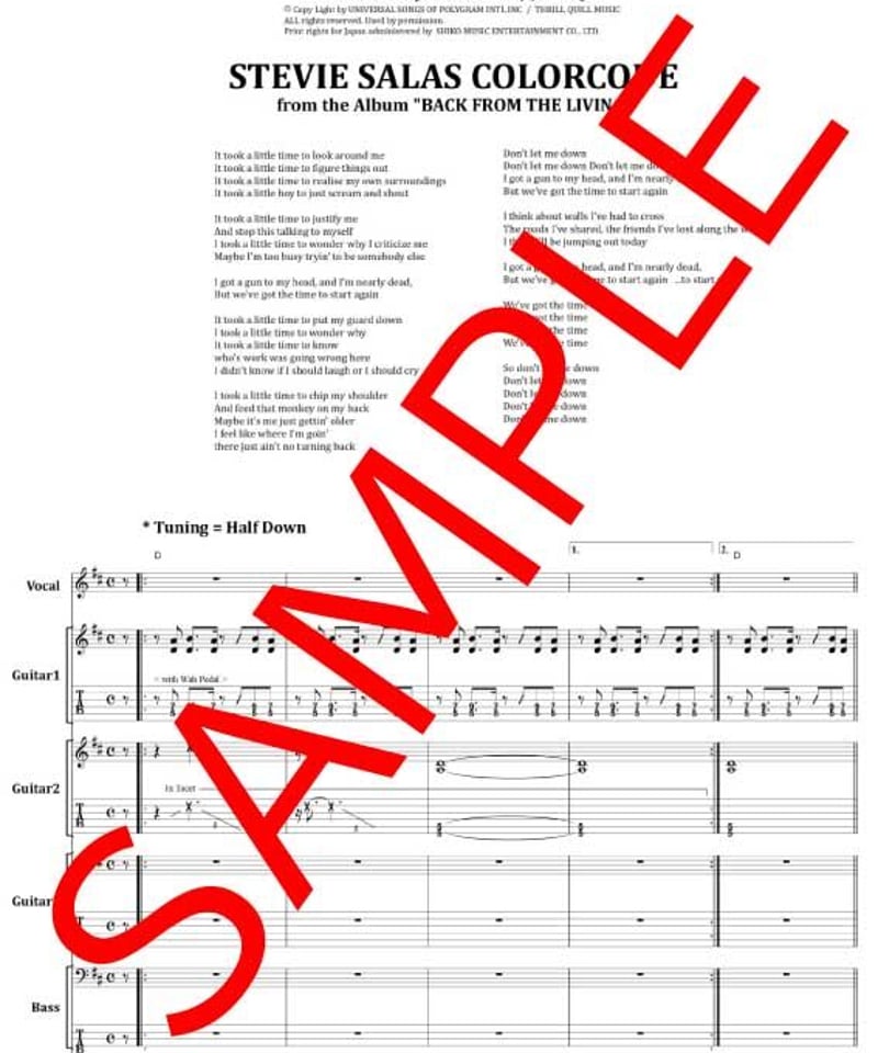 スティーヴィー・サラス(STEVIE SALAS COLORCODE) / START AGA