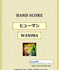 WANDS / 世界中の誰よりもきっと〜Album Version〜 バンド・スコア(TAB
