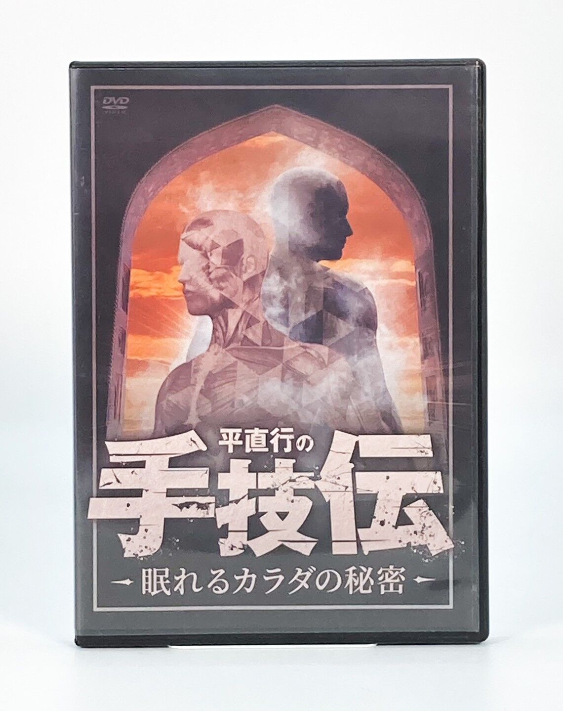 手技伝 眠れるカラダの秘密】平直行 整体 手技 DVD 治療院