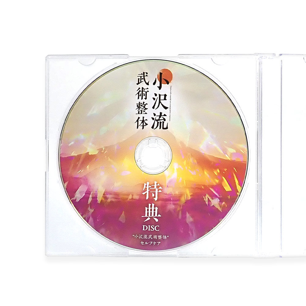 小沢流武術整体】小沢真太郎 整体DVD 手技DVD 治療院マーケティング
