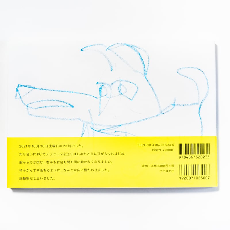 頭のうえを何かが Ones Passed Over Head 岡﨑乾二郎 | ナナロク社の店