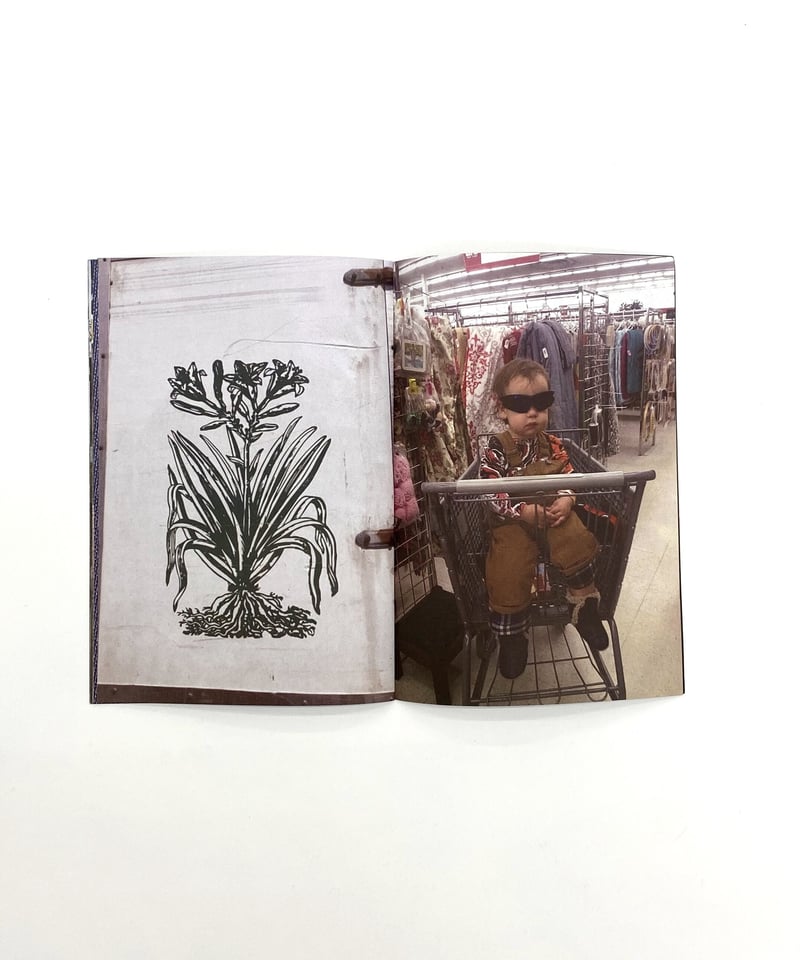 海外写真集・初版】コロラドの山脈 ジョン・フィールダー 絶景 希少