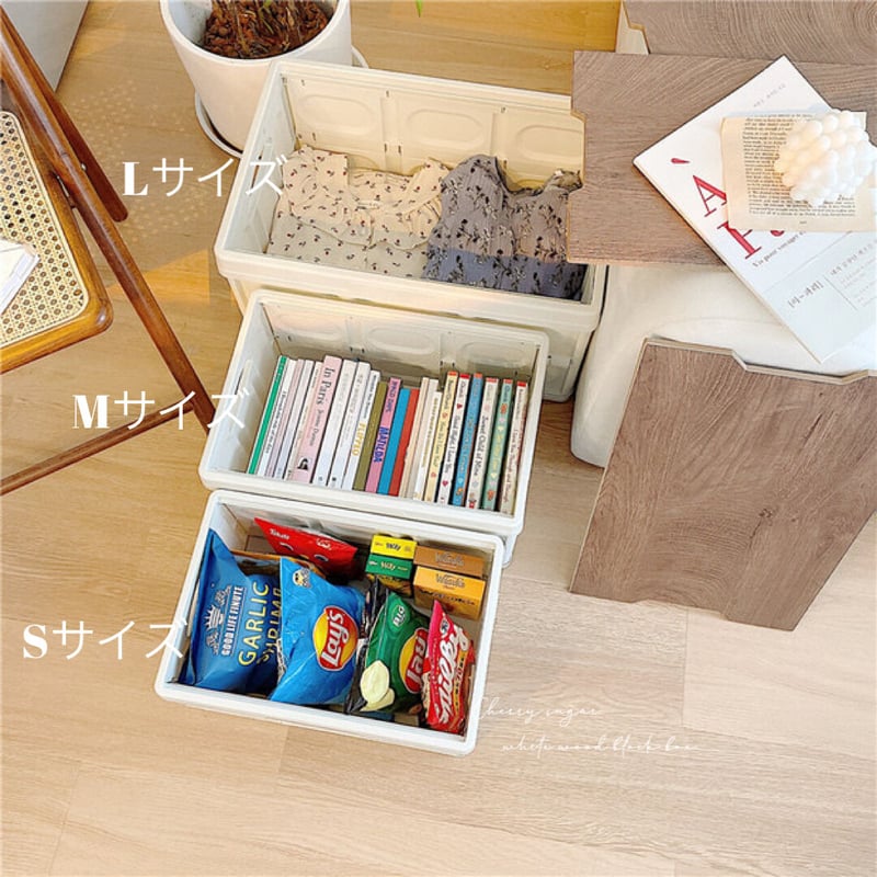 Ruby-Cell 美顔器 収納ケース付き 【公式通販】