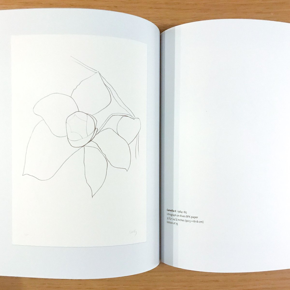 Plant Lithographs Ellsworth Kelly | タバネルブックス