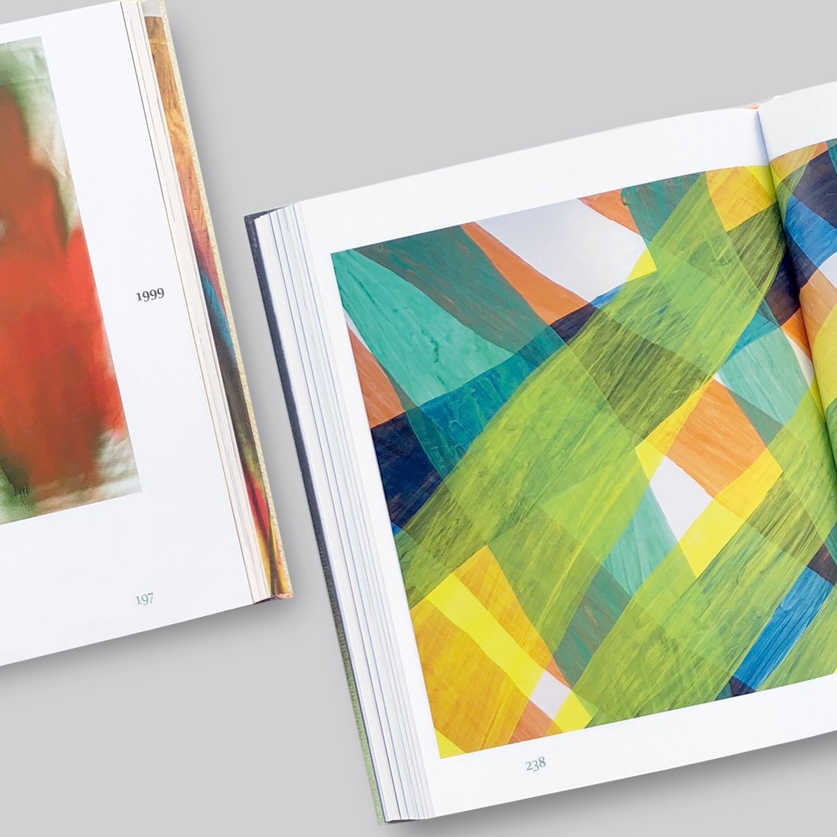 Katharina Grosse / Studio Paintings 1988-2022 |