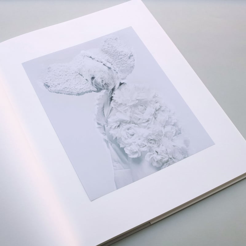 Paolo Roversi / Birds | POST