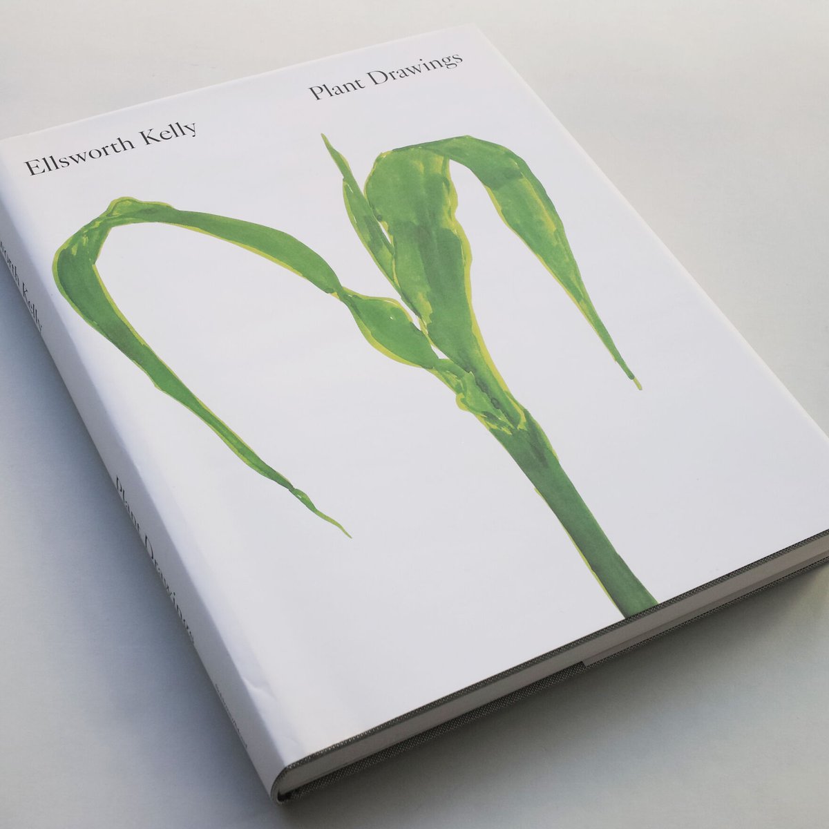 Ellsworth Kelly / Plant Drawings | POST