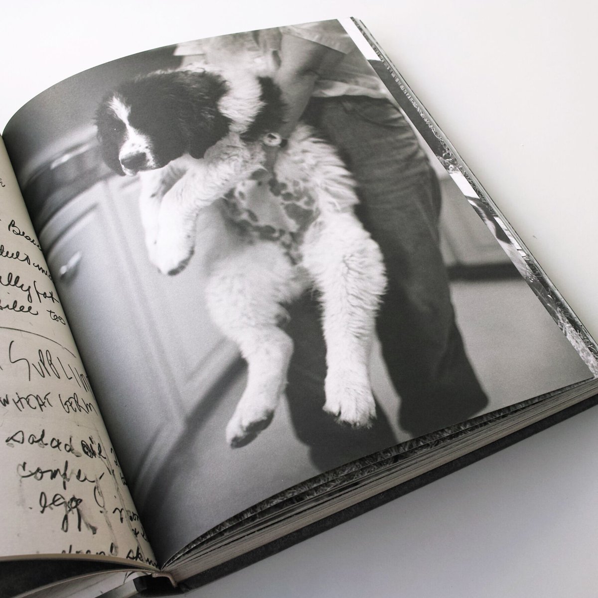 Bruce Weber / Gentle Giants | POST