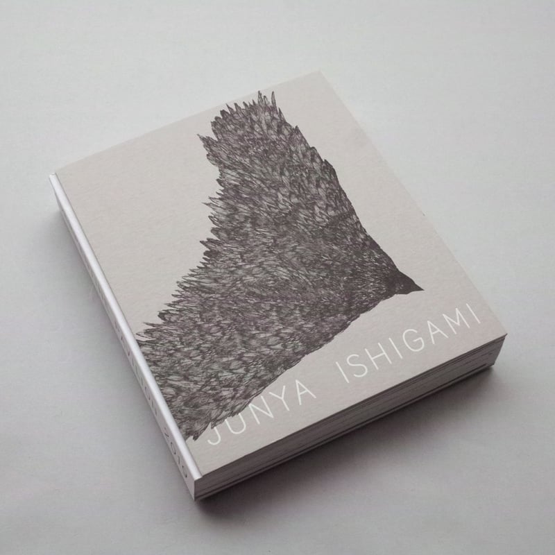 Ishigami: Serpentine Pavillion 2019 | POST