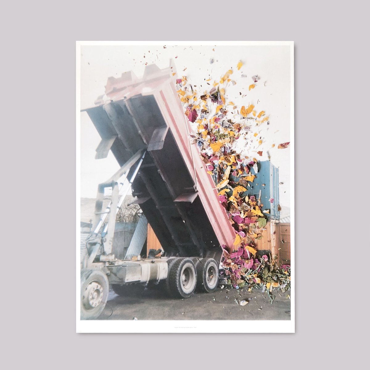 Stephen Gill / Hackney Flowers - Large Poster |