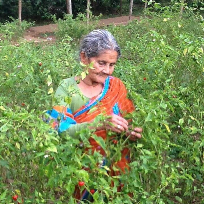 8種のスパイスセット | ネパール珈琲 ファーマーズパッション