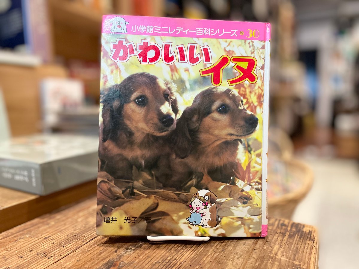 かわいいイヌ | 古書まどそら堂