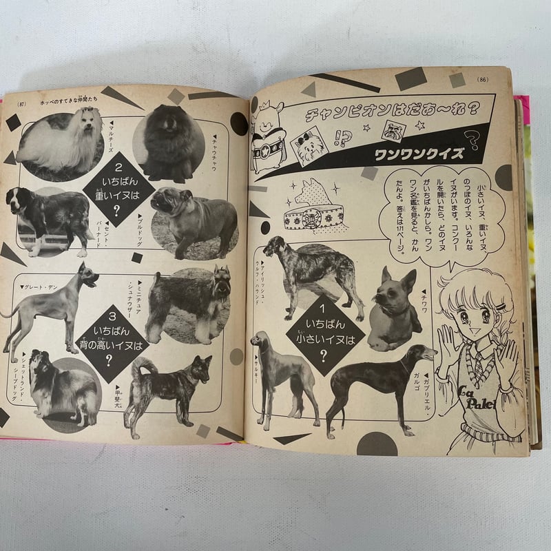 かわいいイヌ | 古書まどそら堂