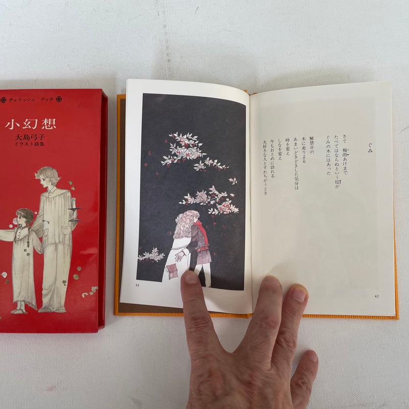 小幻想 大島弓子イラスト詩集 | 古書まどそら堂