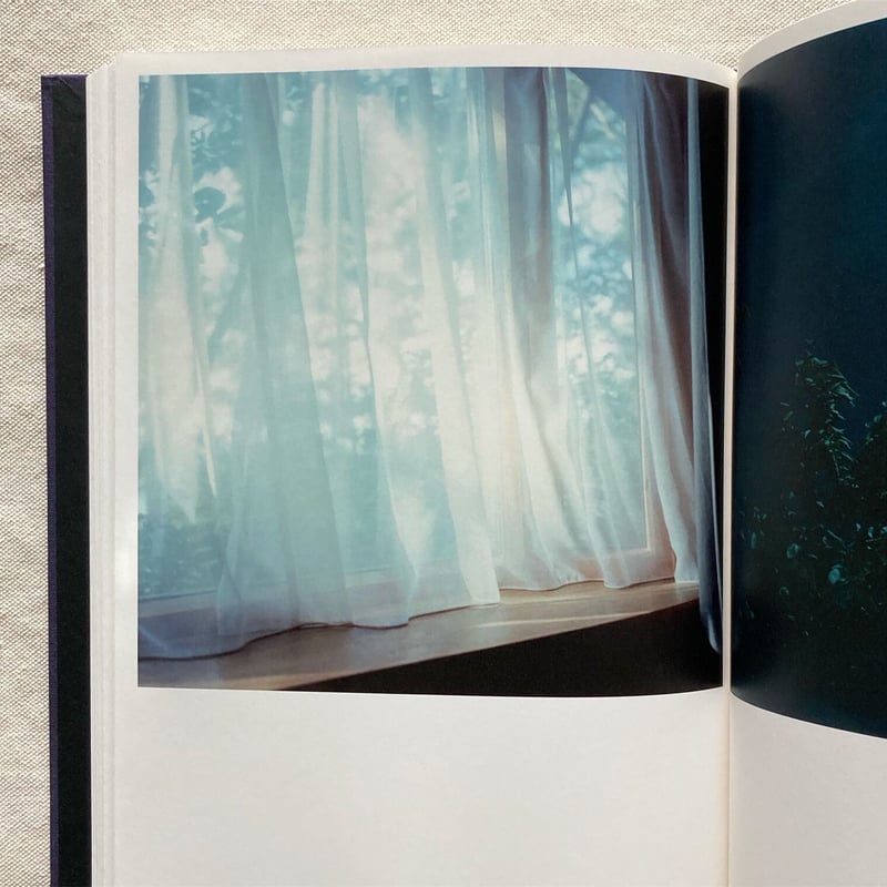 川内倫子｜Illuminance | 曲線