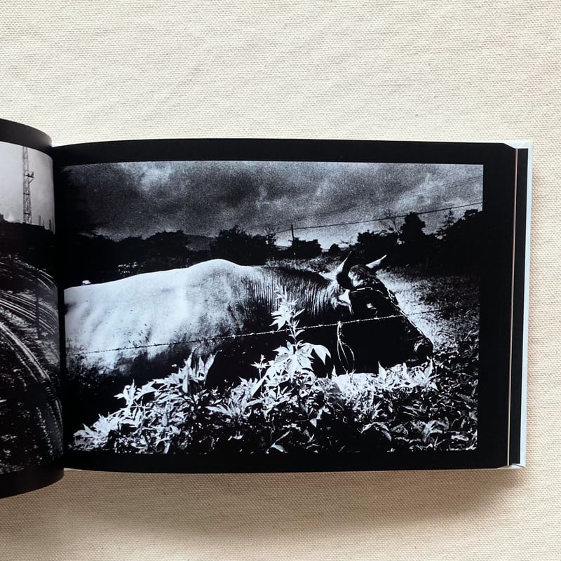 森山大道｜DAIDO SLIDE | 曲線