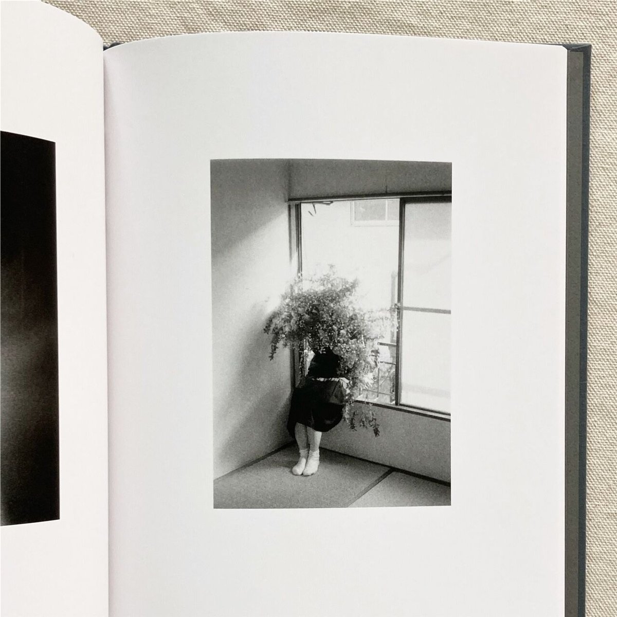 木村和平｜灯台 | 曲線