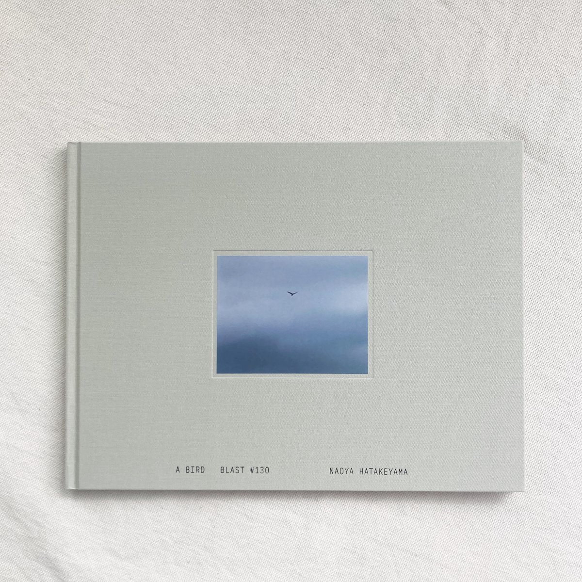 畠山直哉｜A BIRD BLAST #130 | 曲線