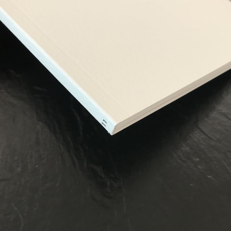 LINA SCHEYNIUS 11 ｜ Lina Scheynius | POETIC SCA