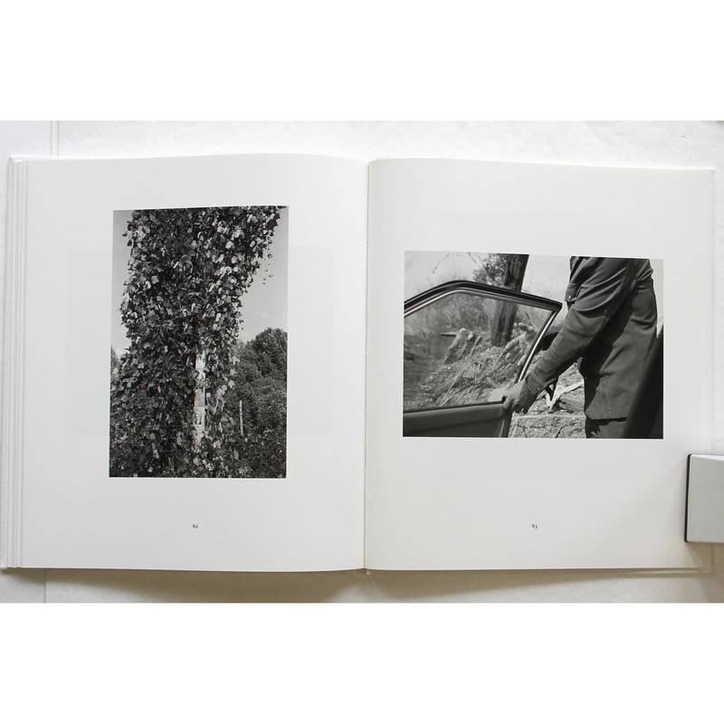 希少 in Context by David Steinmetz 希少 in Context by David