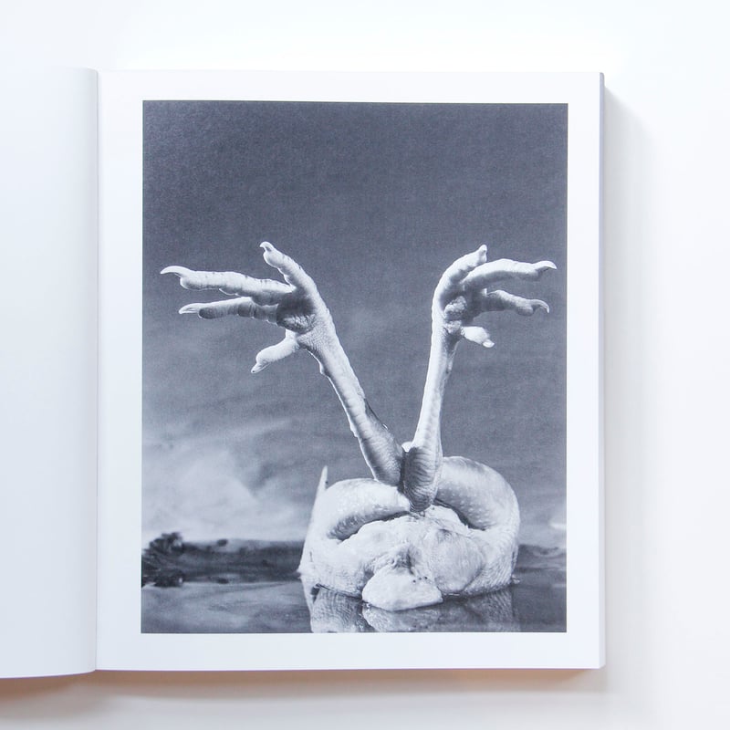 大辻清司『大辻清司写真集成』 | Fugensha STORE