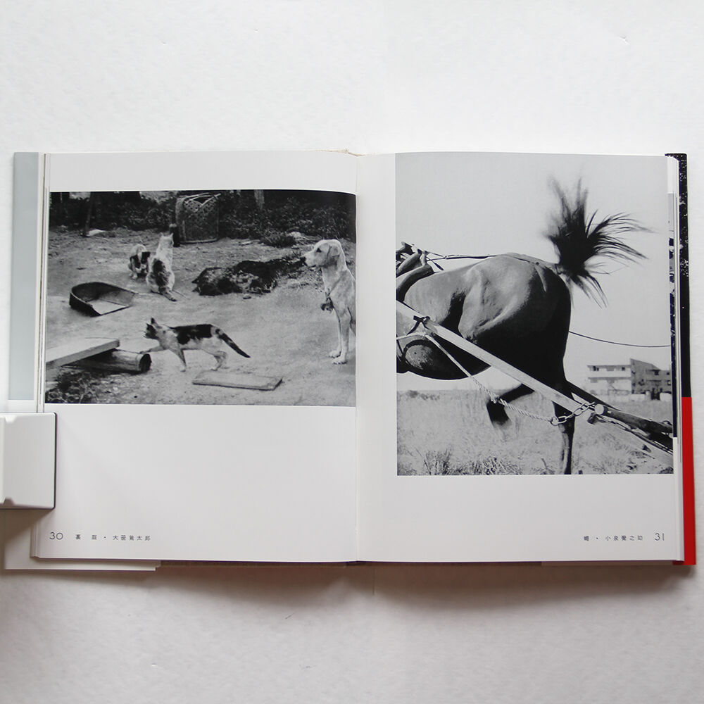 fit=scale-down,w=1200