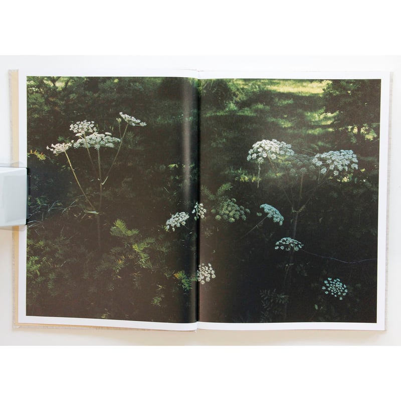 長島有里枝『SWISS』 | Fugensha STORE