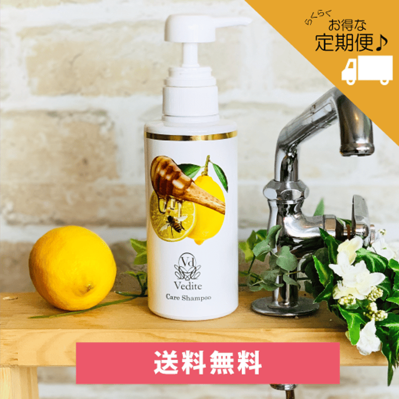 定期コース25％引＞Vediteケアシャンプー 300ml | Vedite STORE