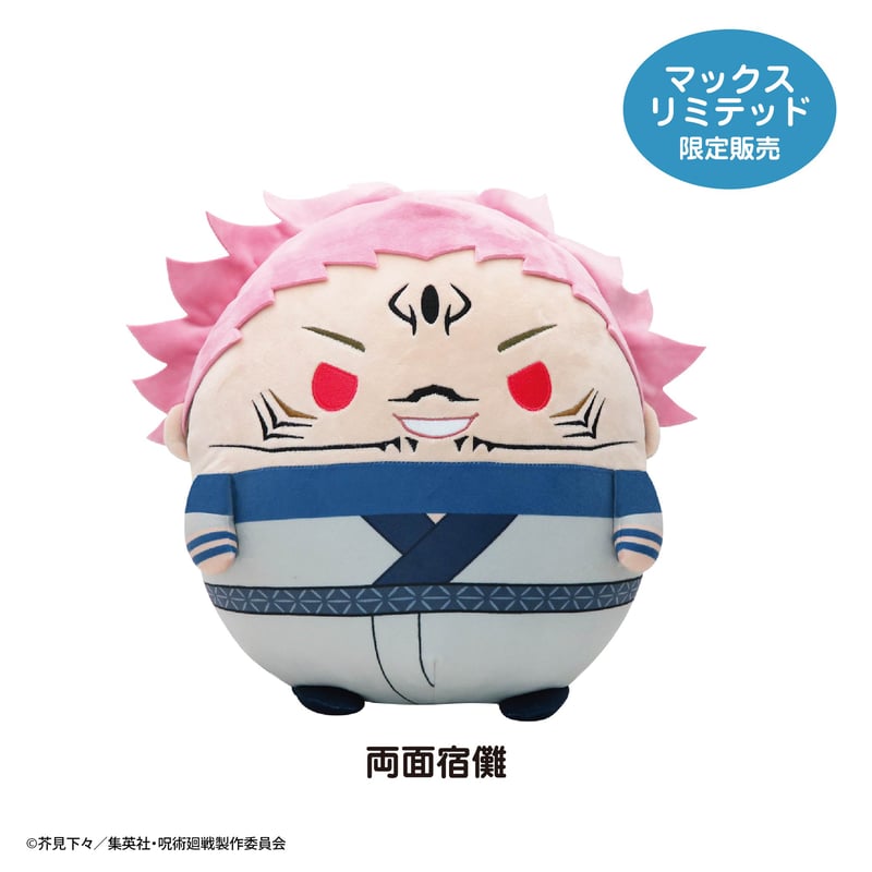 呪術廻戦 ふわコロりん 第1弾 BOX特典 宿儺 五条 10点 呪術廻戦 ふわ