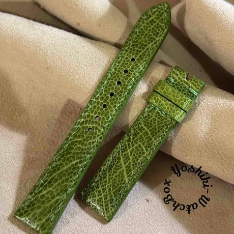 CATEGORY オーストリッチ 19mm | Yoshiki - WatchBox