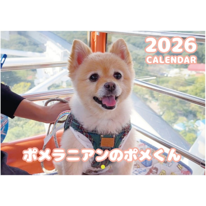 予約販売】 ポメラニアンのポメくん 犬 2026年 壁掛け カレンダー