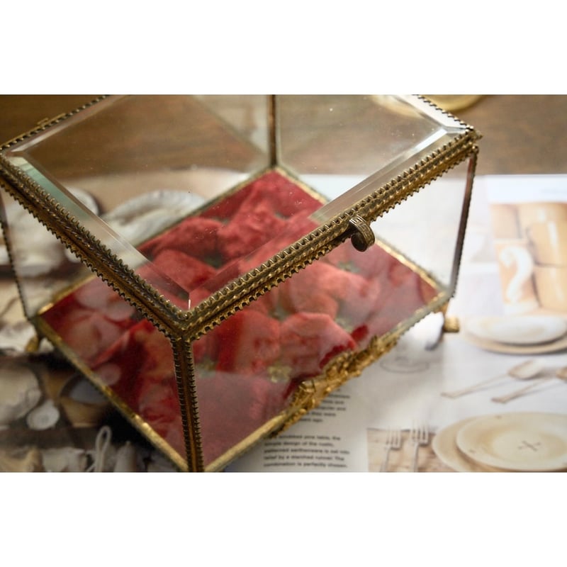 貴重 フランスアンティーク 大きなジュエリーボックス 宝石箱 ワックス