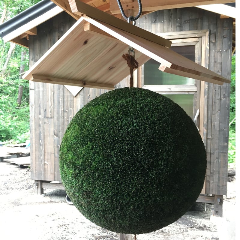 杉玉 大玉 （約50cm） | 楠玉屋