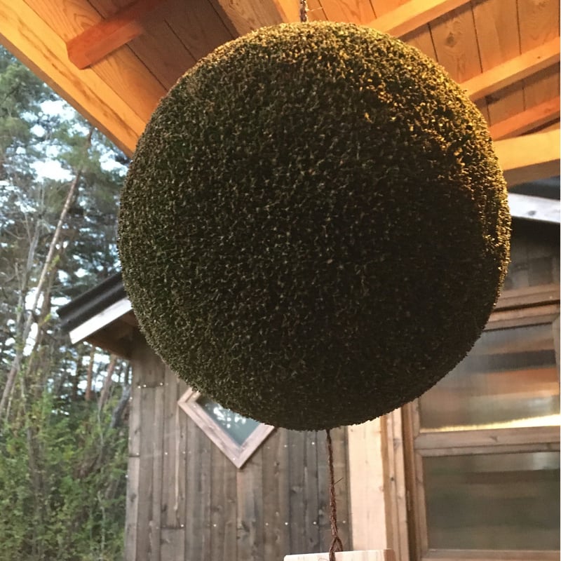 杉玉 七寸玉（約21cm） | 楠玉屋