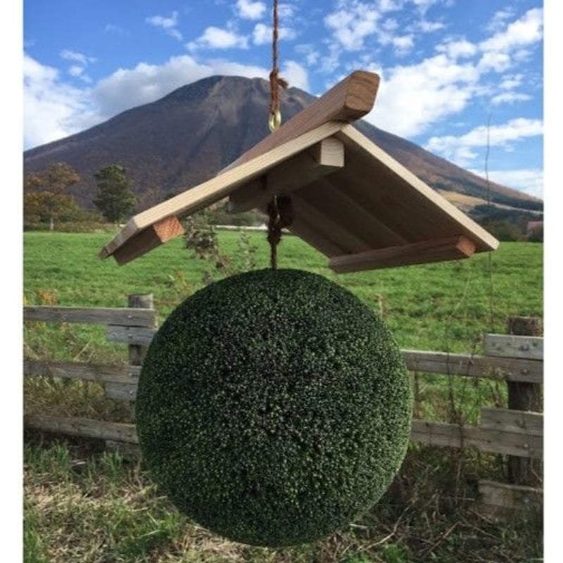 杉玉 一尺玉（約30cm） | 楠玉屋