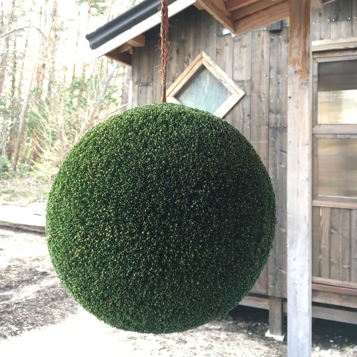 杉玉 一尺玉（約30cm） | 楠玉屋