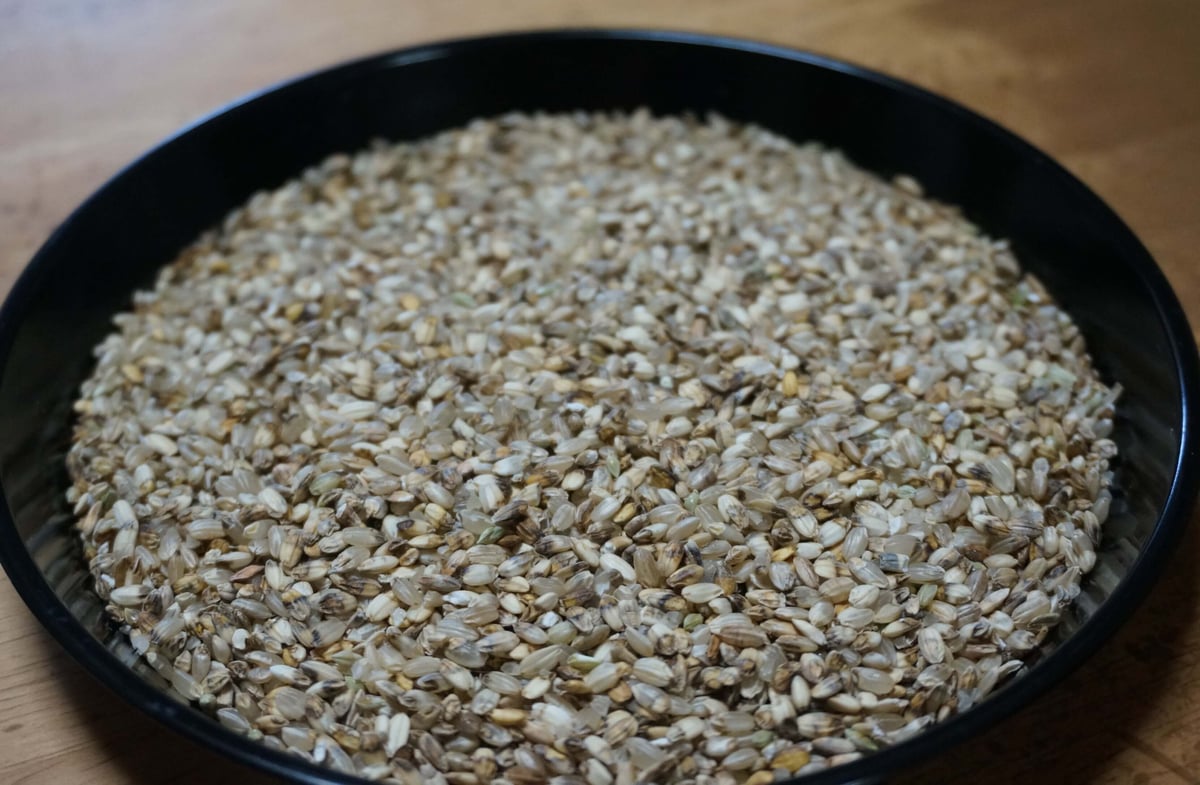 くず米/飼料用24kg（令和7年産 農薬不使用/自然栽培） | はらだ自然