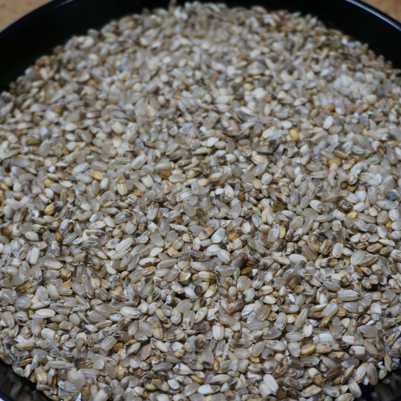 くず米/飼料用24kg（令和7年産 農薬不使用/自然栽培） | はらだ自然