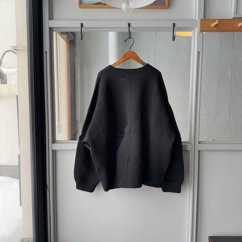 ssstein COTTON DOUBLE KNIT TUCKED CREW NECK L