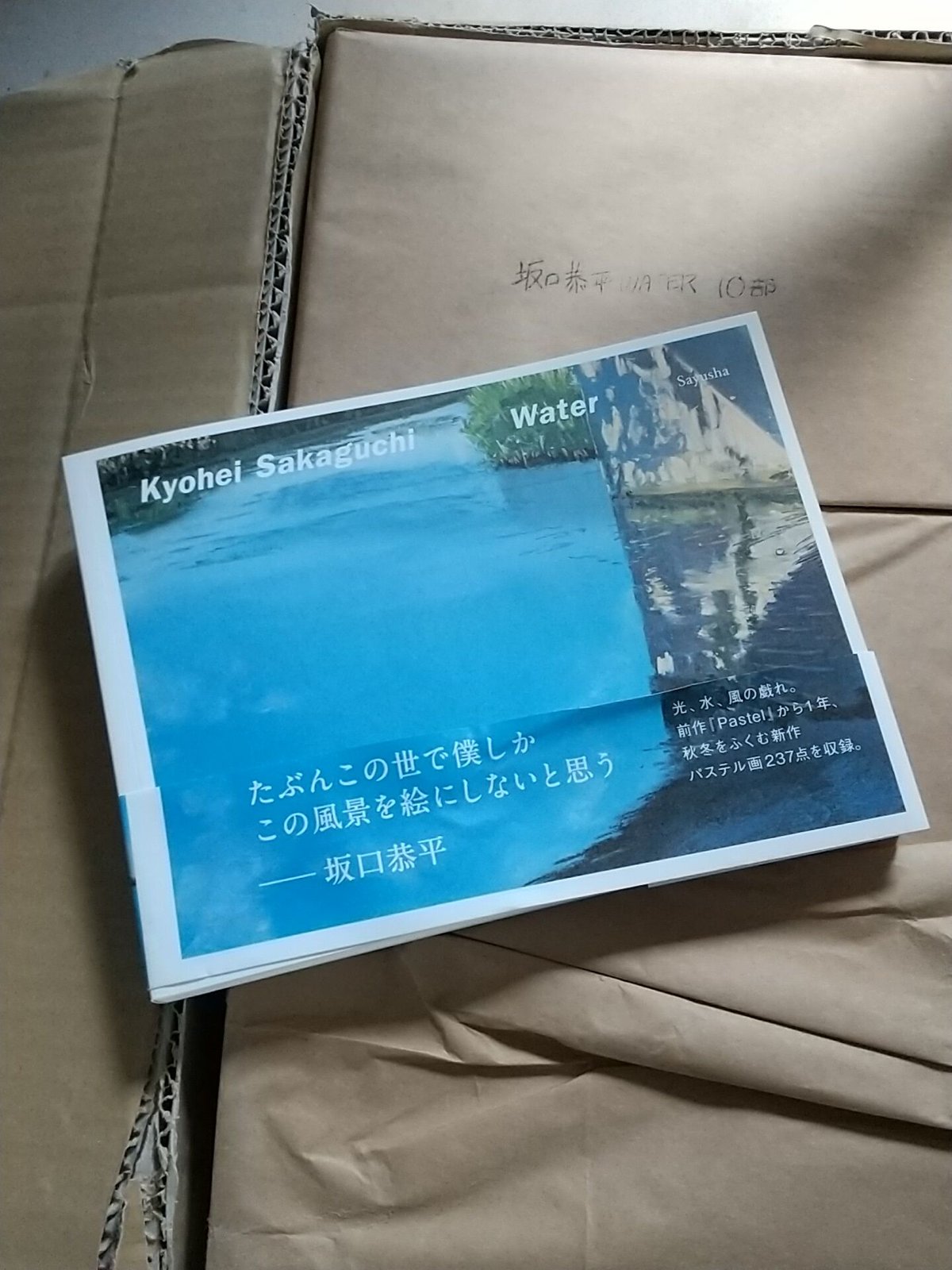 特製ポストカード付】坂口恭平パステル画集第二弾『Water』【通常版