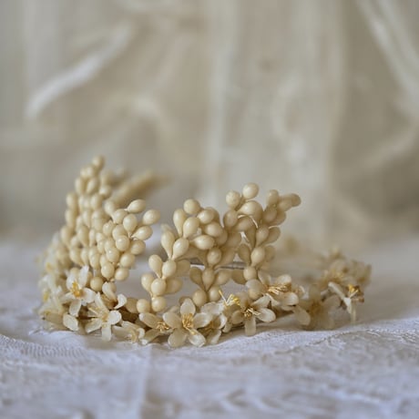 ワックスフラワー | STORES