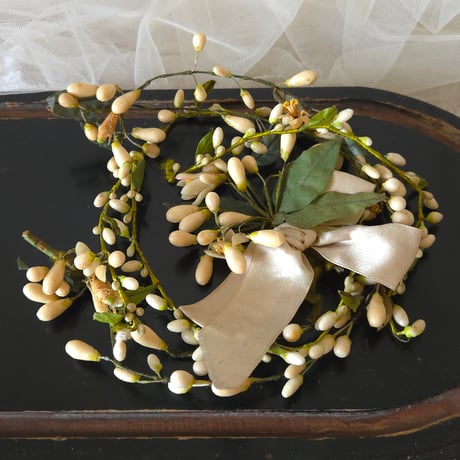 ワックスフラワー | STORES