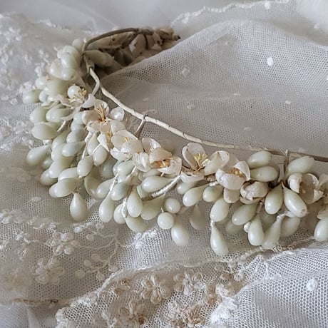 ワックスフラワー | STORES