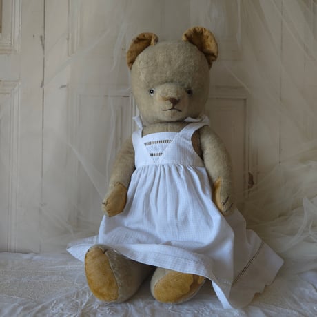 アンティークテディベア | STORES