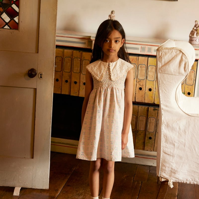 Apolina CORNELIA S/L SMOCK DRESS - ROSEPANEL M