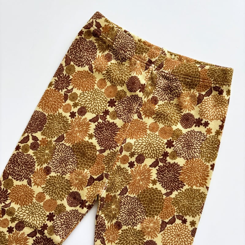 Misha & Puff Acorn Chrysanthemum スカウト 5y Misha & Puff Acorn