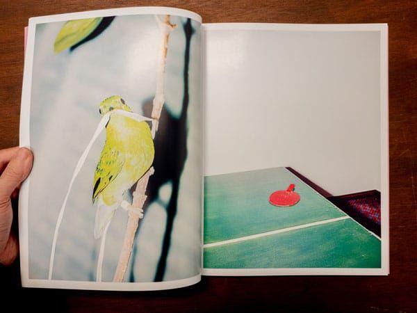 Chicharron｜田中ヒロ Hiro Tanaka | ソラリス・オンラインストア