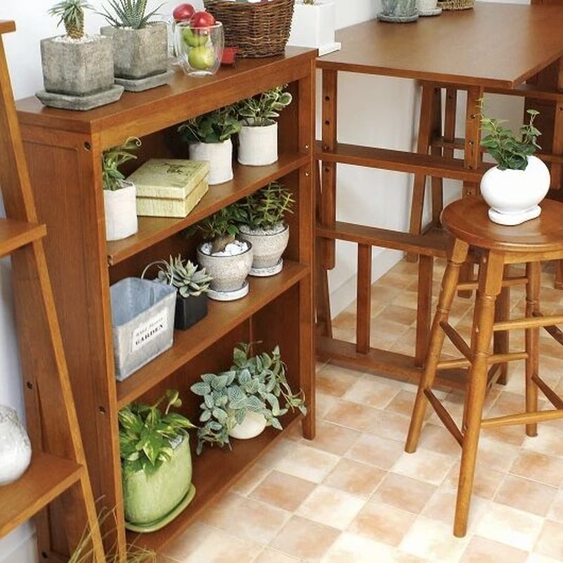 書斎本棚 食器棚 展示棚(モーブル家具) 書斎本棚 食器棚 展示棚