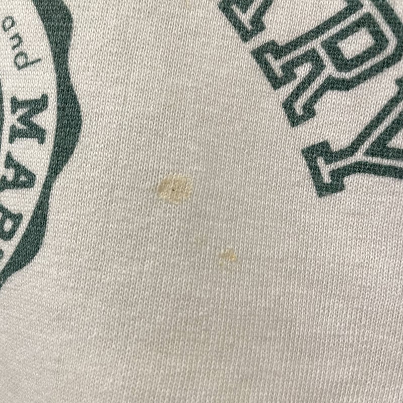 Champion ヴィンテージスウェット 染み込みプリント バータグ USA製